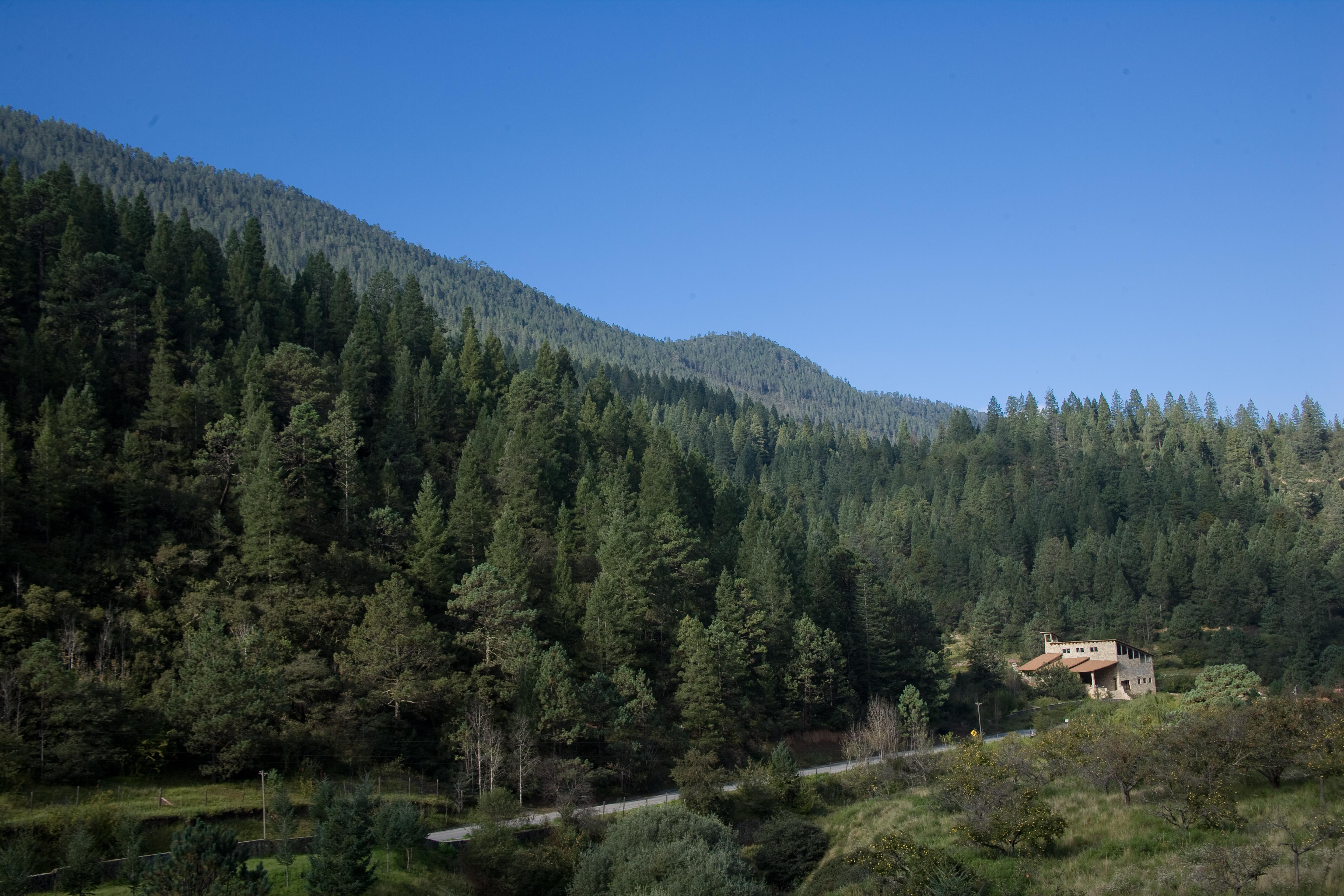 Bosques de Monterreal San Antonio de las Alazanas Exterior foto