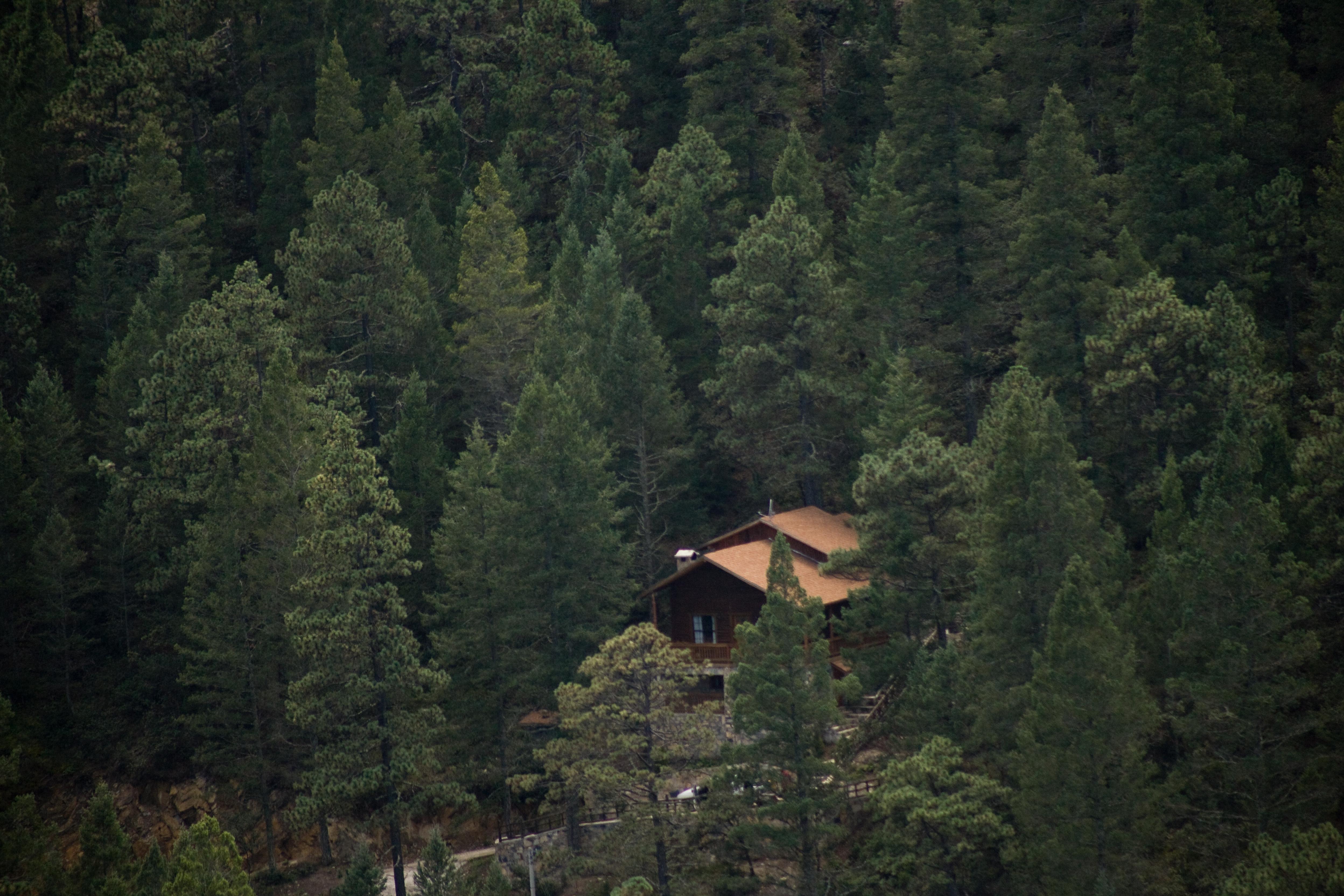 Bosques de Monterreal San Antonio de las Alazanas Exterior foto