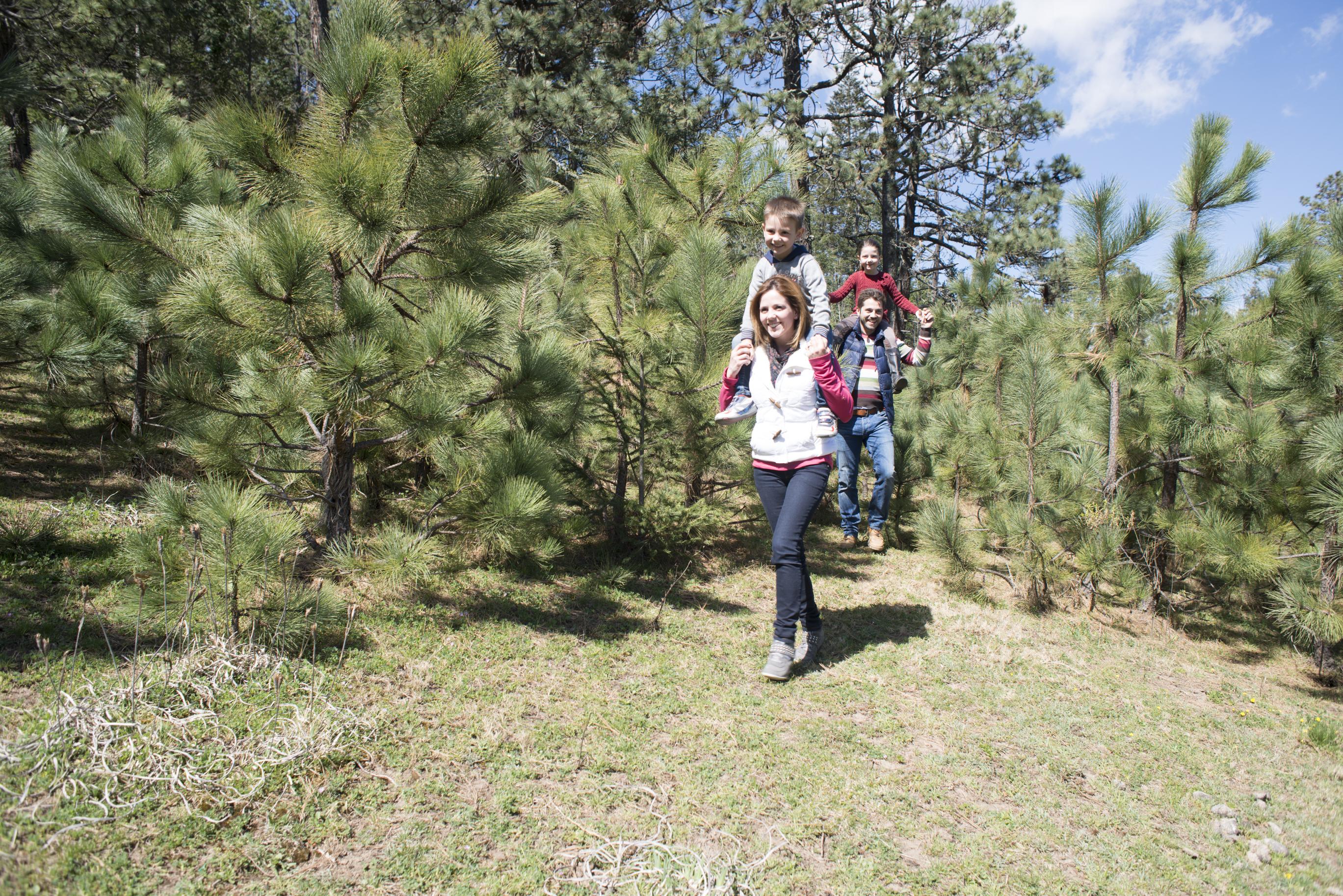 Bosques de Monterreal San Antonio de las Alazanas Exterior foto